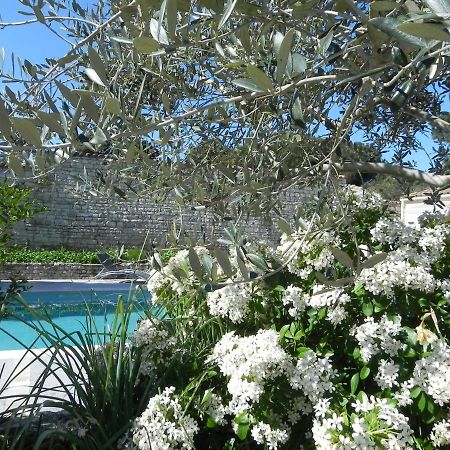 Villa Del Re 3 Face A La Piscine La Flotte Esterno foto