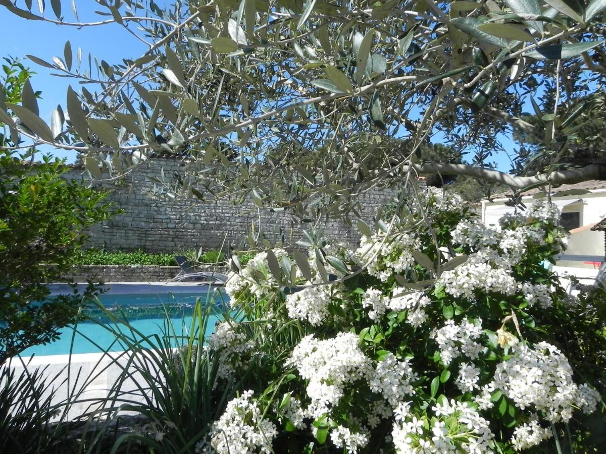 Villa Del Re 3 Face A La Piscine La Flotte Esterno foto